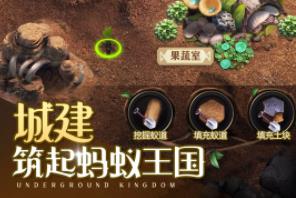 小小蚁国菌怎么消耗 菌收益最大用法是什么