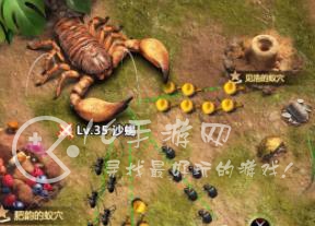 小小蚁国菌怎么消耗 菌收益最大用法是什么