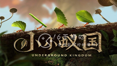 小小蚁国特化蚁排行2023 最强特化蚁推荐