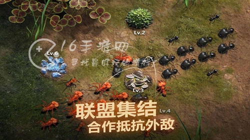 小小蚁国特化蚁排行2023 最强特化蚁推荐