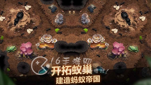 小小蚁国兑换码2023最新 3月全部礼包码汇总