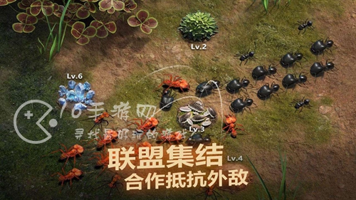 小小蚁国兑换码2023最新 3月全部礼包码汇总