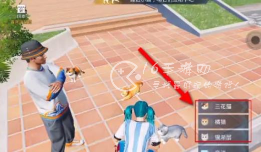 和平精英家园怎么养猫养宠物 给宠物喝水是怎么做到的