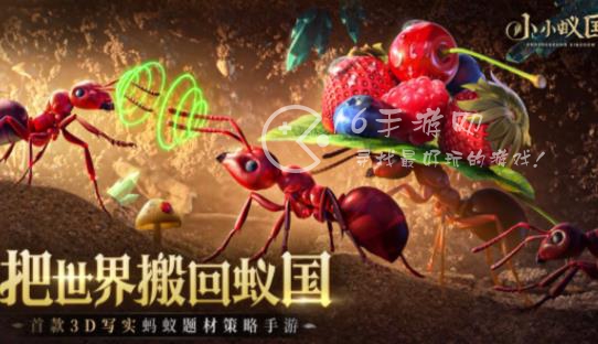 小小蚁国特化蚁搭配2023 全关卡通用特化蚁阵容搭配推荐