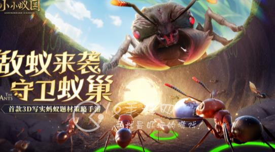 小小蚁国特化蚁搭配2023 全关卡通用特化蚁阵容搭配推荐