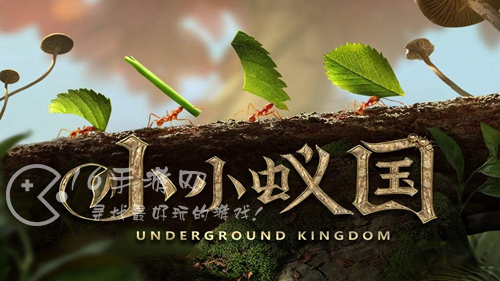 小小蚁国怎么提升战力 战力提升途径汇总