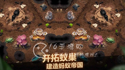 小小蚁国怎么提升战力 战力提升途径汇总