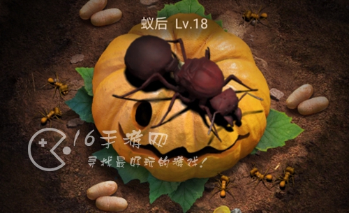 小小蚁国特化蚁搭配攻略 最强特化蚁搭配方案分享