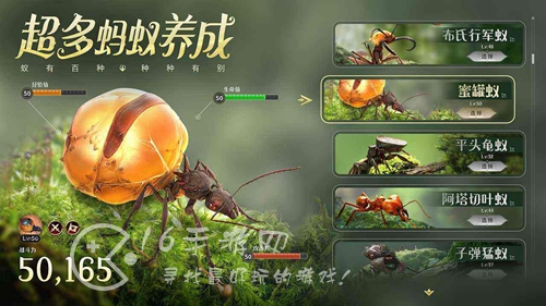 小小蚁国兑换码长期有效(2023全部礼包码汇总)