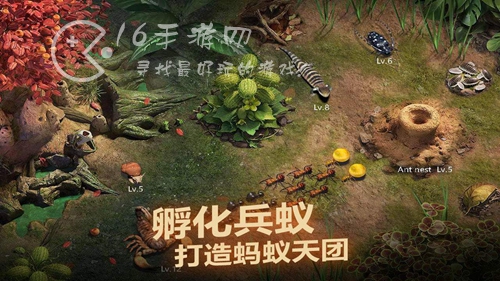 小小蚁国兑换码长期有效(2023全部礼包码汇总)