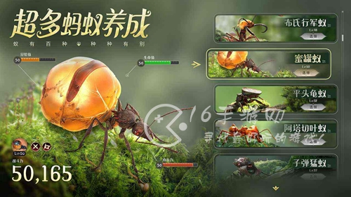 小小蚁国特化蚁排名2023 最强特化蚁推荐