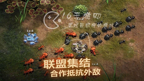 小小蚁国特化蚁排名2023 最强特化蚁推荐