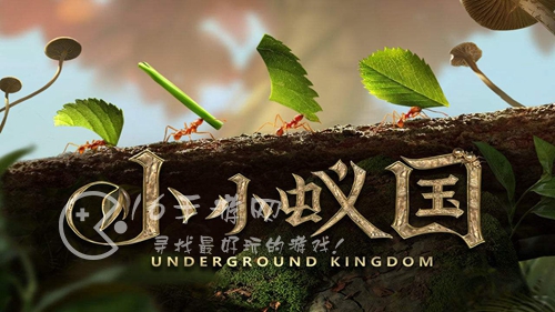 小小蚁国哥斯拉多少钱 哥斯拉值得买吗