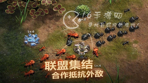 小小蚁国哥斯拉多少钱 哥斯拉值得买吗