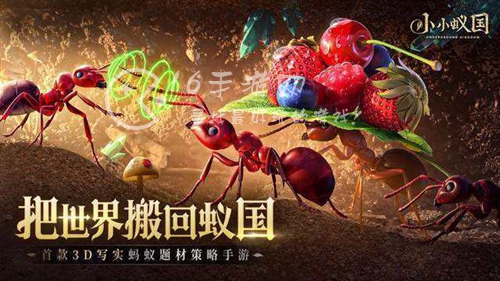 小小蚁国升级资源表 资源升级材料汇总