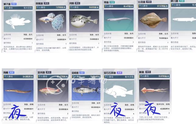 和平精英绿洲世界巨骨舌鱼在哪钓 绿洲世界巨骨舌鱼垂钓地点