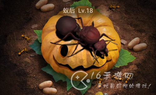 小小蚁国特化蚁搭配攻略 最强特化蚁搭配分享