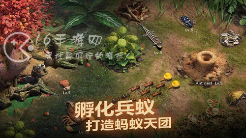 小小蚁国升星资源表 奇异残壳怎么获得