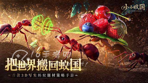 小小蚁国野怪升星技巧 野怪升星操作一览