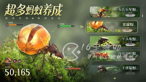 小小蚁国野怪升星技巧 野怪升星操作一览