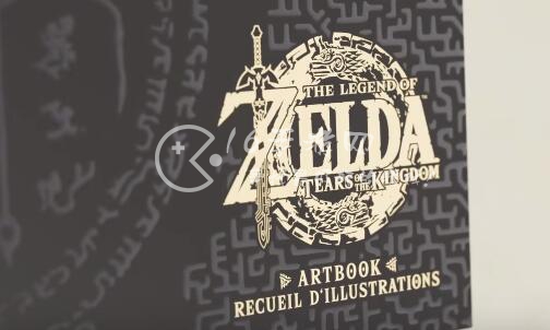 塞尔达传说王国之泪国行能玩吗 国行怎么玩