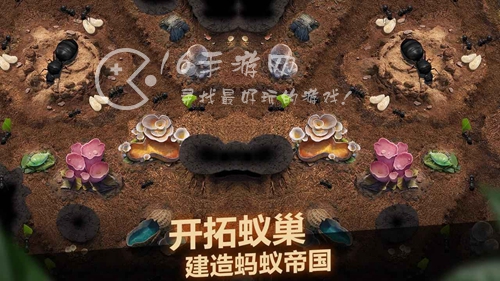 小小蚁国超能蚁团兑换码大全2023 最新6月礼包码汇总