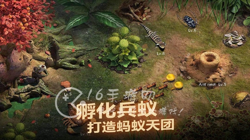 小小蚁国超能蚁团兑换码大全2023 最新6月礼包码汇总