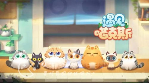 遇见喵克斯怎么生小猫 生小猫方法一览