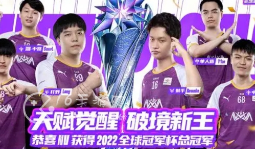 英雄联盟手游冠军皮肤介绍 冠军皮肤售价多少钱