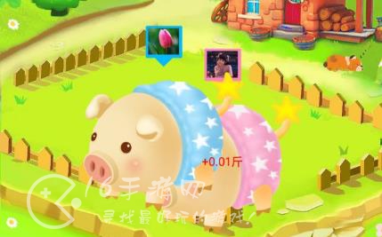 全民养猪场真的可以赚钱吗 怎么提现