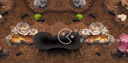 小小蚁国特化蚁搭配 特化蚁排名