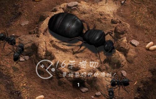 小小蚁国礼包码最新2023(5个通用兑换码)