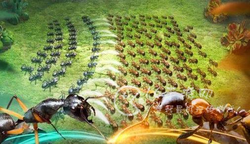 小小蚁国礼包码最新2023(5个通用兑换码)