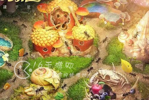 小小蚁国25本前置条件 25本需要多少资源