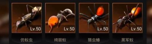 小小蚁国平民最强阵容 特化蚁排名