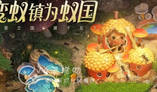 小小蚁国战斗速度是什么意思 战斗速度怎么提升