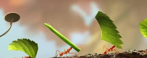 小小蚁国账号交易平台 账号交易安全吗