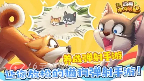 狗狗呼叫喵星兑换码（2023最新礼包码汇总）