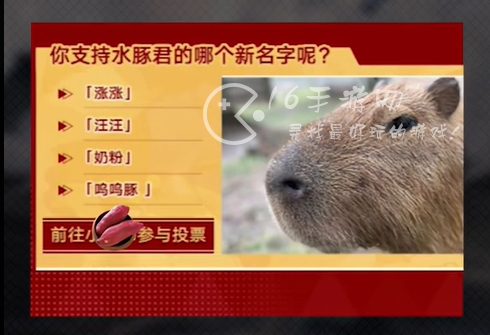 崩坏星穹铁道水豚活动在哪里 水豚活动给十张专票是真的吗