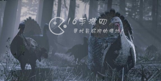 荒野大镖客2线上11月活动介绍 线上11月活动怎么玩