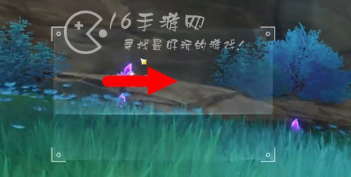 原神基本呈紫色的提瓦特产物在哪 紫色提瓦特产物位置介绍